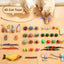 Cat Tunnel Bed with 40 Pcs Interactive Cat Toys, Cat Tube with Kitten Toys for Indoor