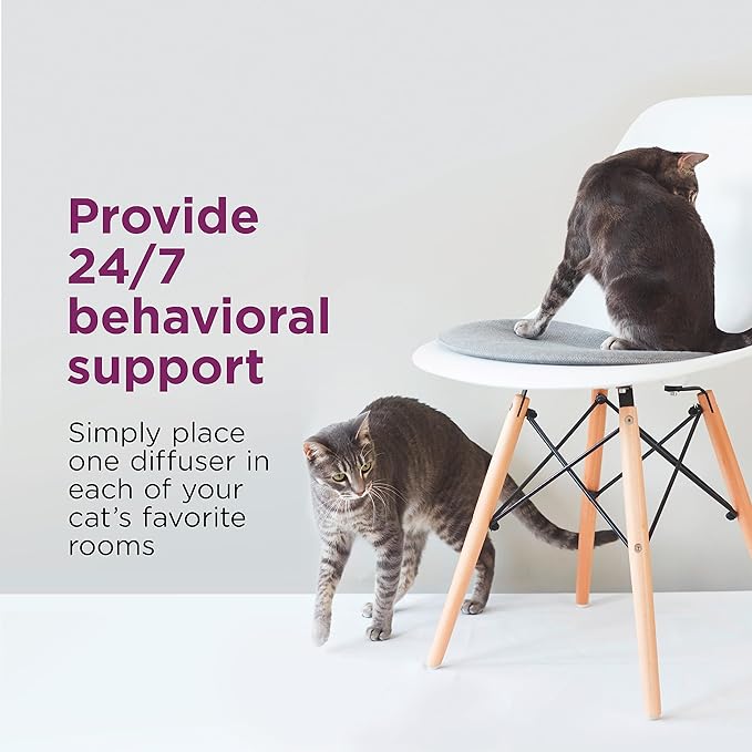 Comfort Zone 30 Day Starter Kit; 1 Multicat Diffuser & 1 Refill