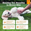 Zesty Paws Probiotics for Dogs - Probiotics for Gut Flora, Digestive Health, Occasional Diarrhea & Bowel Support - Clinically Studied DE111 -90ct