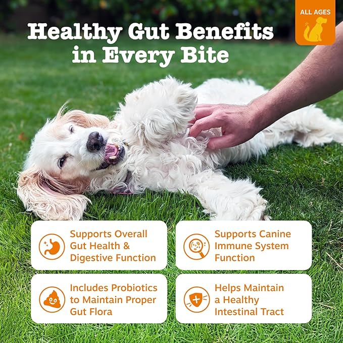 Zesty Paws Probiotics for Dogs - Probiotics for Gut Flora, Digestive Health, Occasional Diarrhea & Bowel Support - Clinically Studied DE111 -90ct
