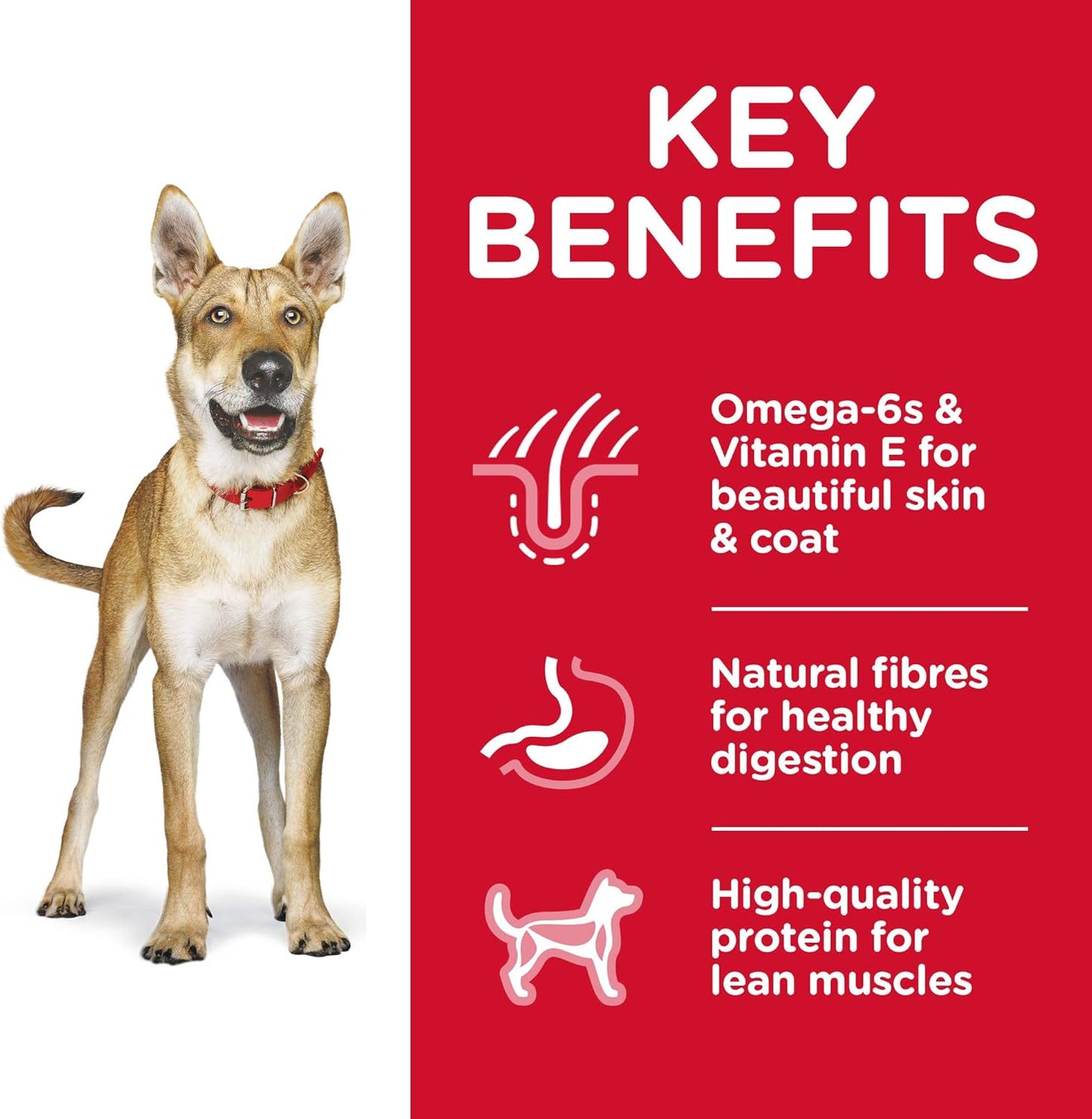 Hill's Science Diet Adult Dry Dog Food