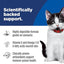 Hill's Science Diet Kitten Sensitive Stomach & Skin Wet Cat Food, Salmon & Vegetable, 2.8 oz. Cans, 24-Pack