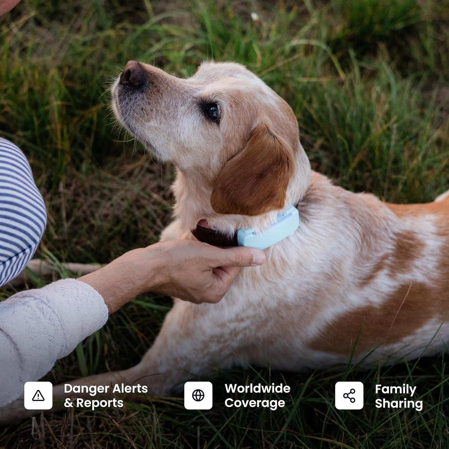 Tractive Smart Dog GPS Tracker | Live Pet Tracker with Virtual Fence | Vital Signs Monitoring of Heart & Respiratory Rate | Bark Monitoring | Dog Collar Attachment (Black)