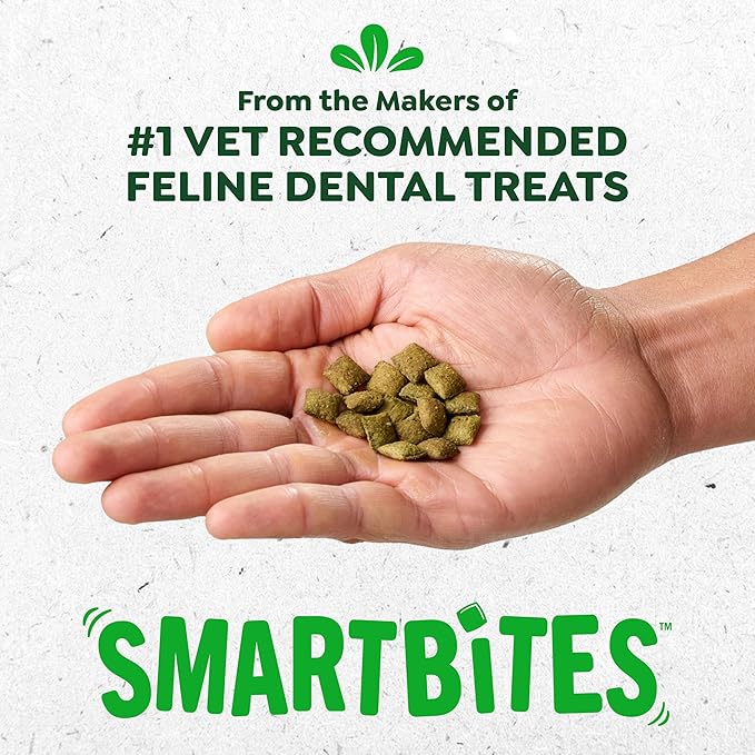 Greenies Cat Treats, Feline Smartbites, Skin & Fur Health, Crunchy and Soft Cat Treats, Salmon Flavor, 2.1 oz. Pack