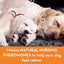 ThunderEase Dog Calming Pheromone Diffuser Kit | Powered by ADAPTIL (30 Day Supply)