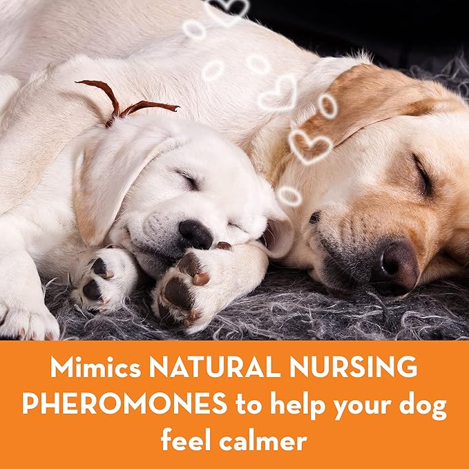 ThunderEase Dog Calming Pheromone Diffuser Kit | Powered by ADAPTIL (30 Day Supply)