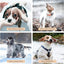 75L Large Pet Dryer Box for Cats & Small Dogs - Automatic 360° Rapid Drying