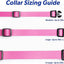 Genuine MS-5® Automatic Pet Door Collar for Large Dogs & Big Dogs