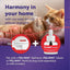 FELIWAY® MultiCat 30 Day Cat Calming Refill for Pheromone Diffuser, 48ml - 1x 30 Day