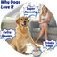 3 in 1 Squeaky Soft Plush Durable Dog Chew Toy for Aggressive Chewers