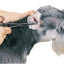Guardian Gear Top Performance ProEar Professional Ear Powde