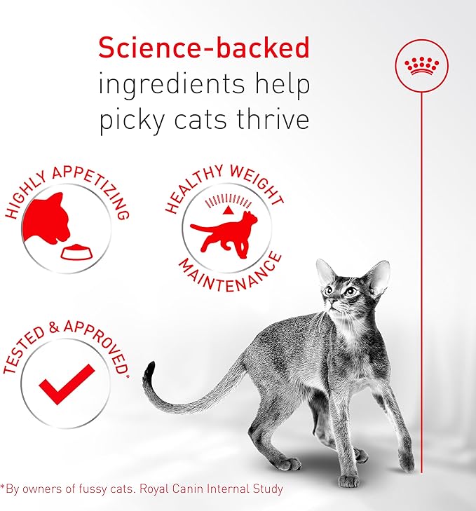 Royal Canin Fussy Dry Cat Food for Adult Cats, Protein-Rich Kibbles for Picky Eaters, Poultry-Based, Supports Healthy Weight and Urinary Health, 7 lb Bag