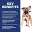 Hill's Science Diet Large Breed Puppy Food, DHA to Support Healthy Development, Lamb & Brown Rice Dry Dog Food, 30 lb. Bag