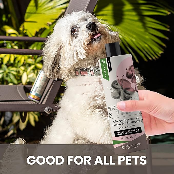 Holistic Natural Derived Cherry Blossom & Green Tea Pet Shampoo: Veterinarian Recommended