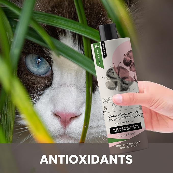 Holistic Natural Derived Cherry Blossom & Green Tea Pet Shampoo: Veterinarian Recommended