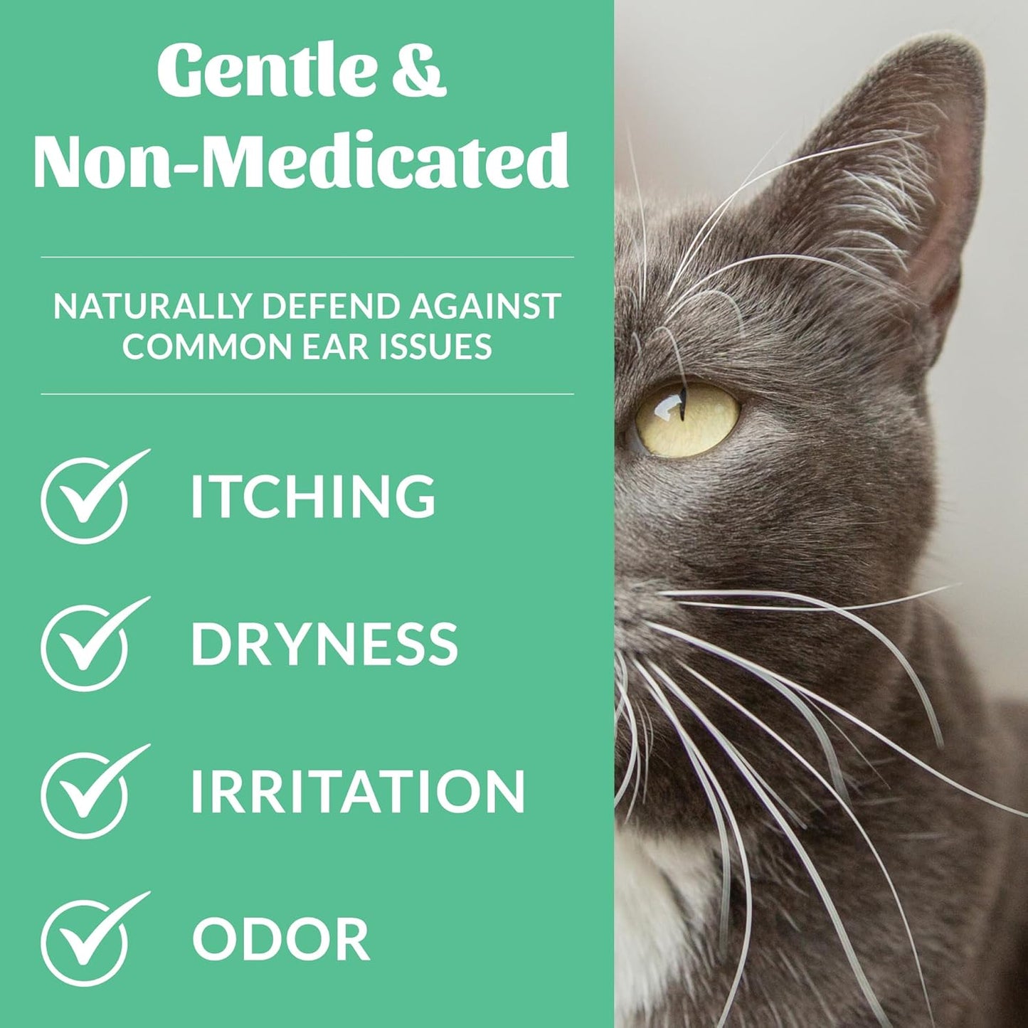 SKOUT'S HONOR Cat Ear Cleaner Solution with Aloe Vera - Alcohol-Free, Fragrance-Free, Non-Medicated Ear Wash for Cats, 4 oz., 3-Pack