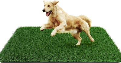Grass Pad for Dogs 28 x 40 inches, Strong Absorbency Soft Artificial Turt for Pets Potty Training, Easy to Clean Fake Grass for Dog Indoor Outdoor Use (1 Pack)