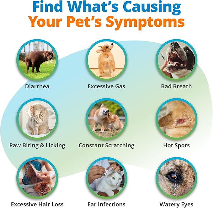 5Strands Pet Food Intolerance & Environmental Sensitivity Test, at Home Gut Health