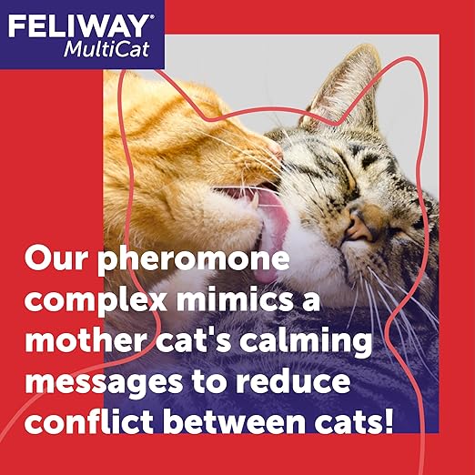 FELIWAY MultiCat 30 Day Cat Calming Plug In Pheromone Diffuser Starter Kit, 48ml