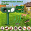 Animal Deterrent Devices Outdoor, Solar Animal Repeller with Motion Sensor Animal Repeller to Repel Cat, Deer, Squirrel, Rabbit, Skunk, Dog (Green - 1 Pack)
