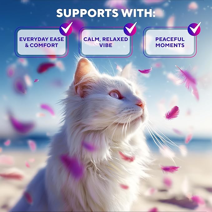 Beloved Pets Cat Calming Diffuser & Pet Anti Anxiety Products -  (2 Diffusers + 2 Refills)