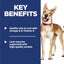 Hill's Science Diet Adult 1-6, Adult 1-6 Premium Nutrition, Dry Dog Food, Chicken & Barley, 35 lb Bag