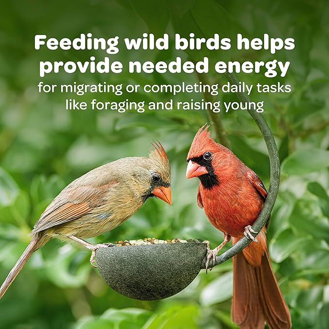 Kaytee Wild Bird Nut & Fruit Seed Treat Bell 6 ounces