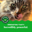 GREENIES Feline Dental Cat Treats