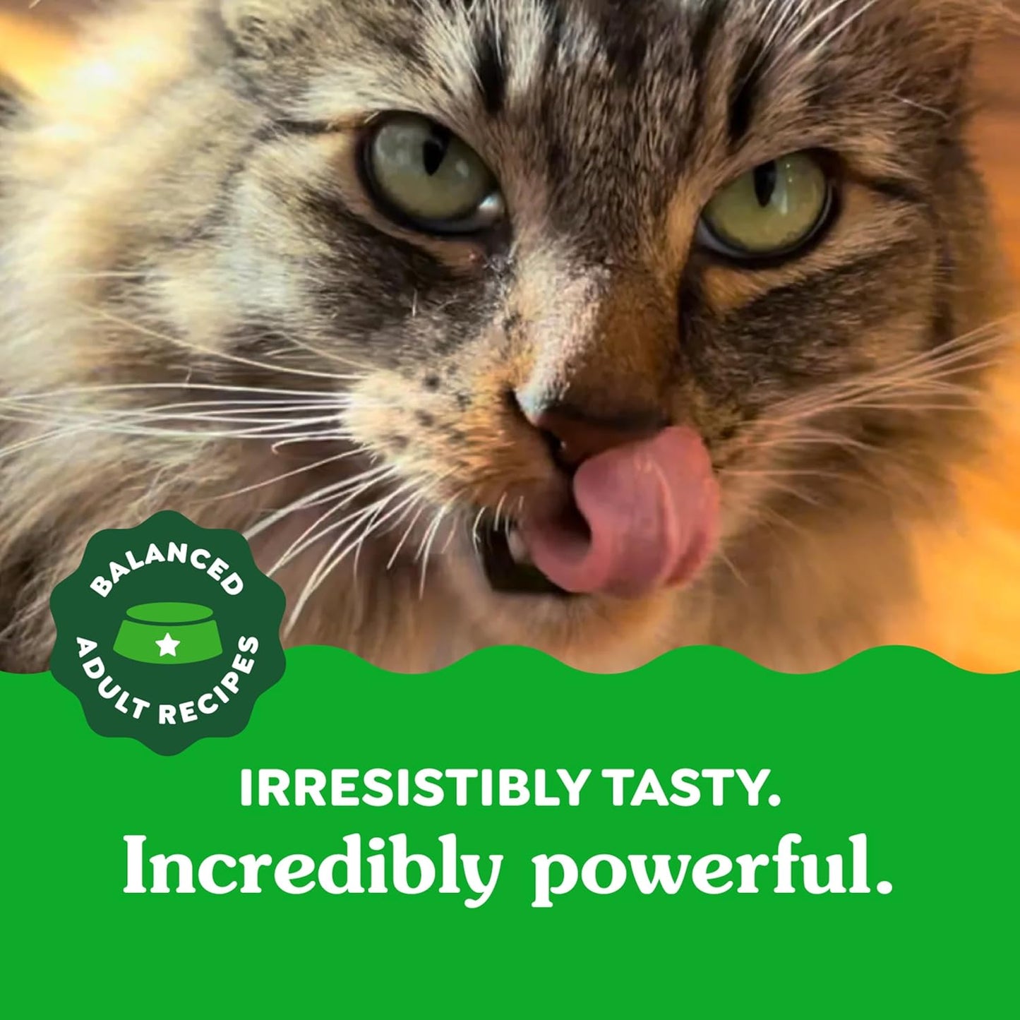 GREENIES Feline Dental Cat Treats