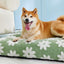 LE SURE Dog Beds Large Sized-Thick Shredded Chopped Foam Pet Bed Indoor as Bed Gift with Removable Cover, Green