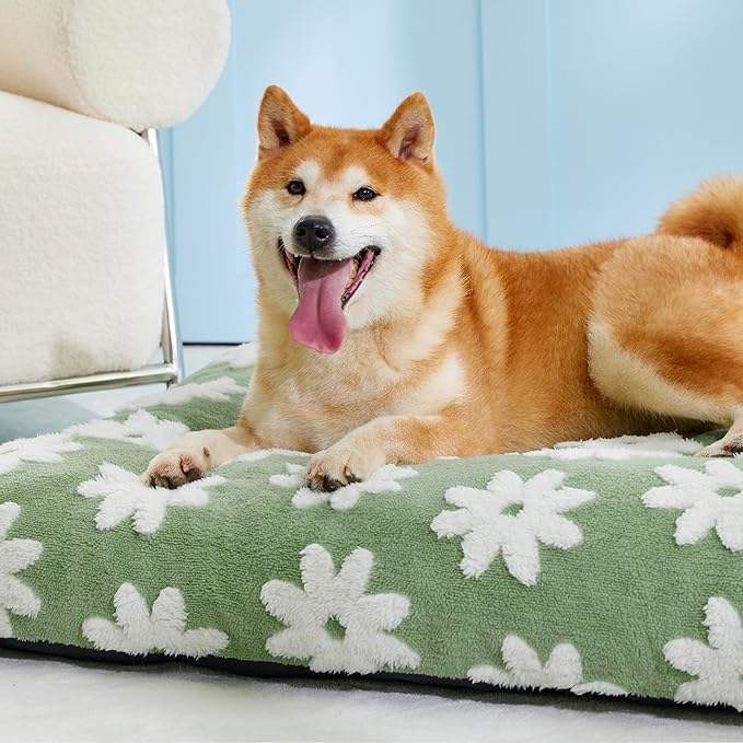 LE SURE Dog Beds Large Sized-Thick Shredded Chopped Foam Pet Bed Indoor as Bed Gift with Removable Cover, Green