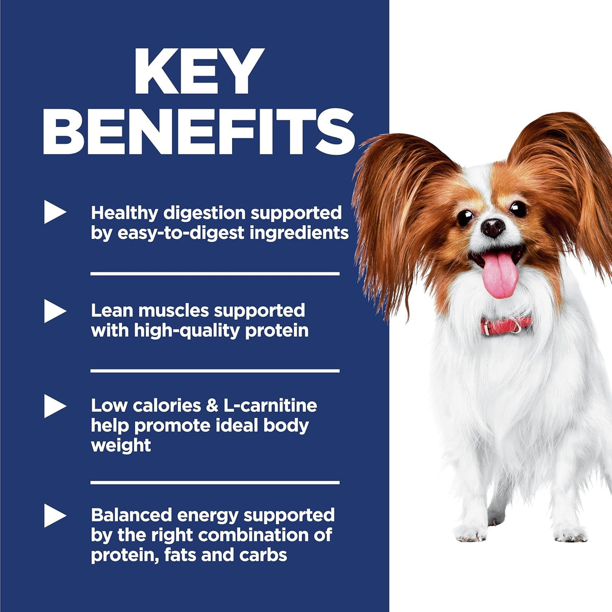 Hill's Science Diet Light , Adult 1-6, Small & Mini Breeds Weight Management Support, Dry Dog Food, Chicken & Barley, 15.5 lb Bag