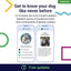 DNA Test for Dogs Starter - (Breeds and Traits Reports) - Updates at no cost