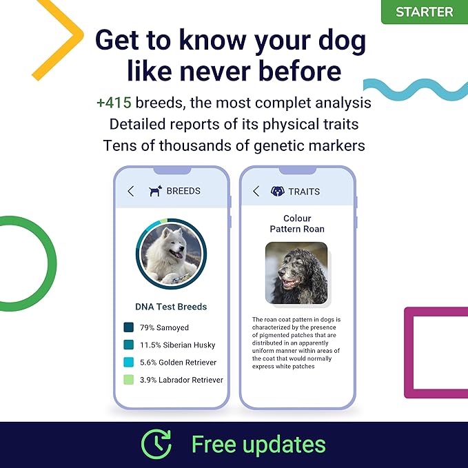 DNA Test for Dogs Starter - (Breeds and Traits Reports) - Updates at no cost