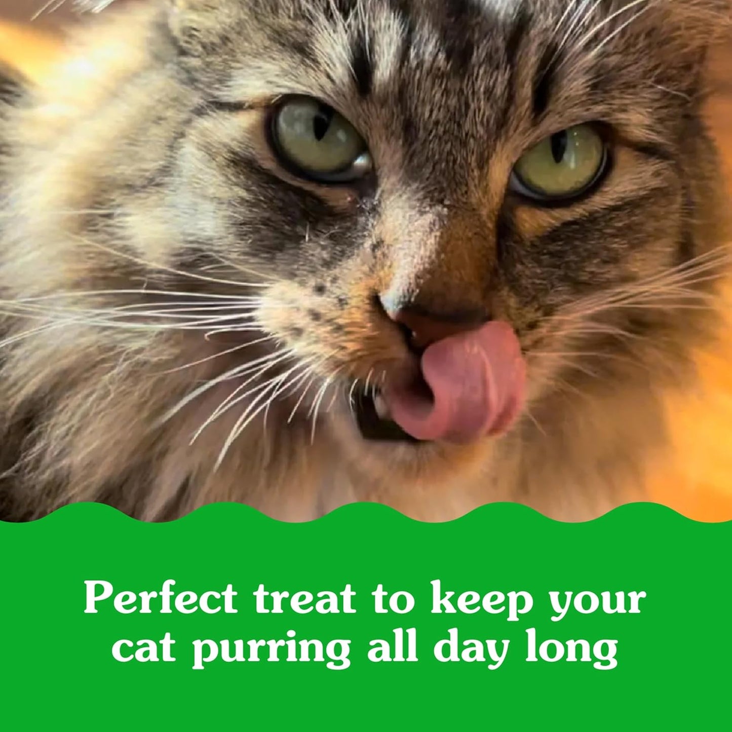 Greenies Feline Smartbites,Cat Treats Healthy Recipe,Indoor Cat Treats,Chicken Flavor,4.6 oz,(Pack of 2)