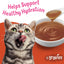 Purina Friskies Lil' Gravies Savory Salmon Flavor Cat Food Complement Lickable Cat Treats - (Pack of 16) 1.55 oz. Pouches