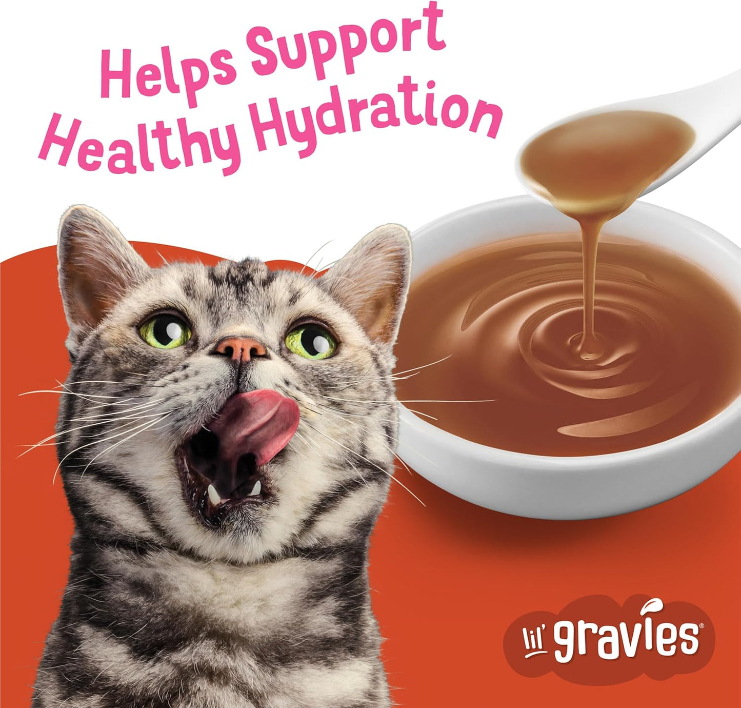 Purina Friskies Lil' Gravies Savory Salmon Flavor Cat Food Complement Lickable Cat Treats - (Pack of 16) 1.55 oz. Pouches