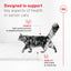 Royal Canin Feline Health Nutrition Aging 11+ Wet Cat Food, for Cats Over 11 Years, Supports Optimal Health & Vitality, 5.1 oz can, case of 24