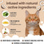 Coconut Cat Conditioner by Buddycare (16.90oz)