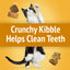 Purina Friskies Cat Treats, Party Mix Cheezy Craze Crunch - 20 oz. Canister