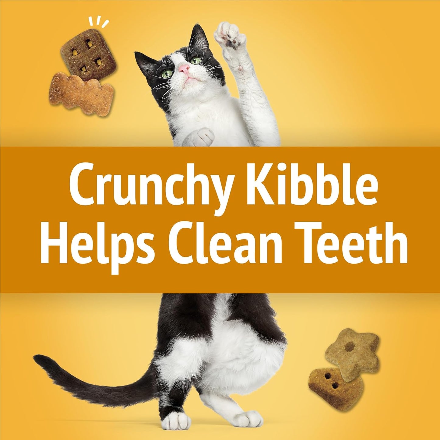 Purina Friskies Cat Treats, Party Mix Cheezy Craze Crunch - 20 oz. Canister