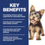 Hill's Science Diet Puppy Small & Mini Breeds Dry Dog Food, Chicken & Brown Rice, 12.5 lb. Bag
