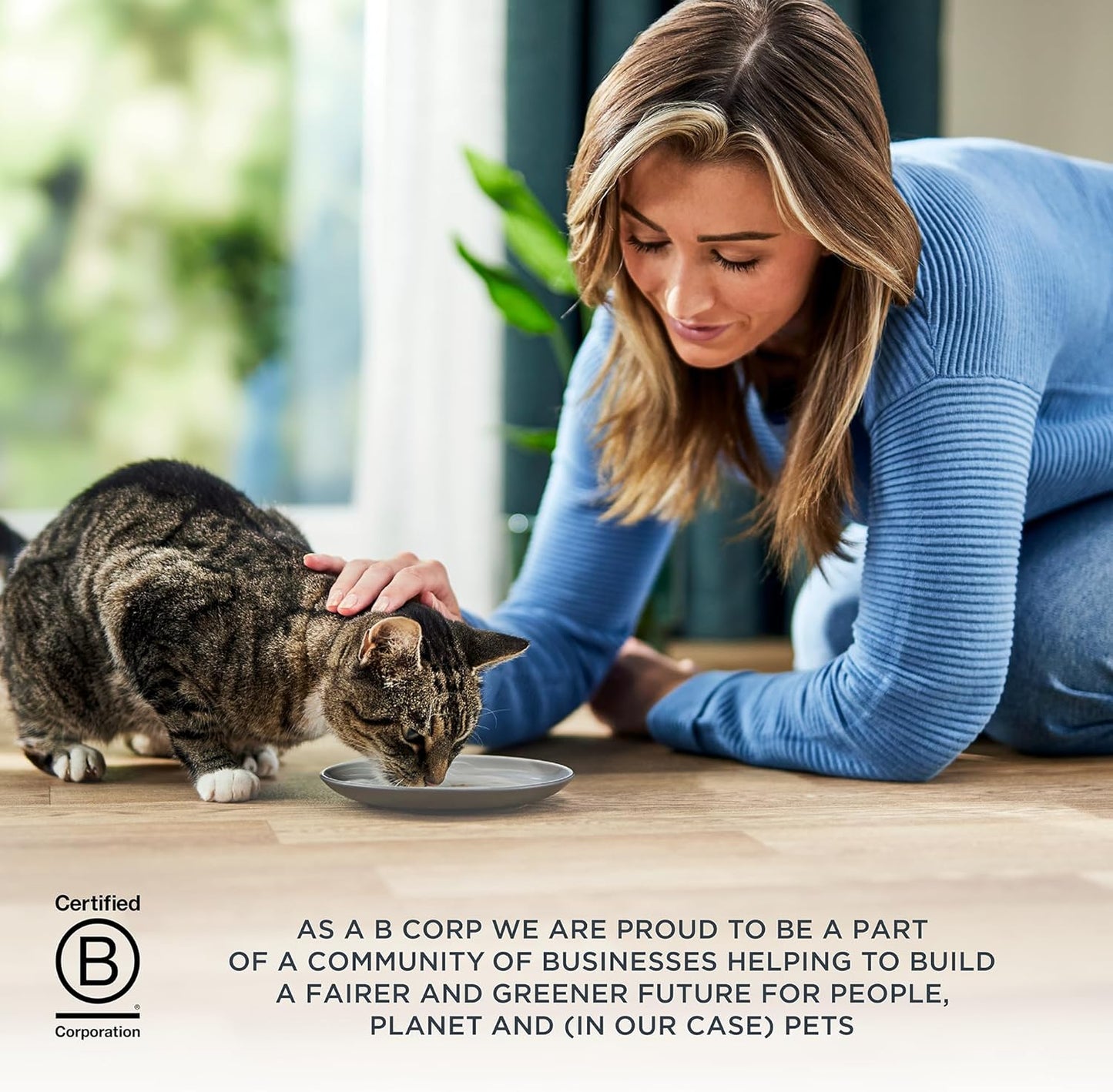 Reveal Entrées Natural Wet Cat Food Paté, Grain-Free with Added Vitamins & Minerals, Carrageenan-Free and High Protein, Variety Selection in Pate (20 x 2.47 oz cans)