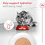 Royal Canin Feline Health Nutrition Aging 11+ Wet Cat Food, for Cats Over 11 Years, Supports Optimal Health & Vitality, 5.1 oz can, case of 24