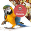 Large Hookbill Cuisine 4 Lbs, Premium Blend Bird Seed for Large Parrots