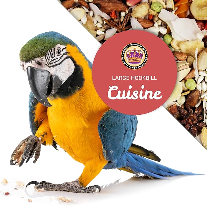 Large Hookbill Cuisine 4 Lbs, Premium Blend Bird Seed for Large Parrots