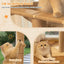 Cat Window Perch with 3 Adjustable Sisal Scratching Posts, Drill-Free Suction Cups, 45 lbs Capacity