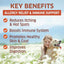Dog Allergy Relief - Dog Allergy Chews - Itch Relief for Dogs - 120 Ct
