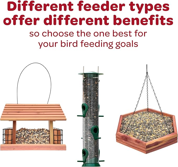 Kaytee Wild Bird Nut & Fruit Seed Treat Bell 6 ounces
