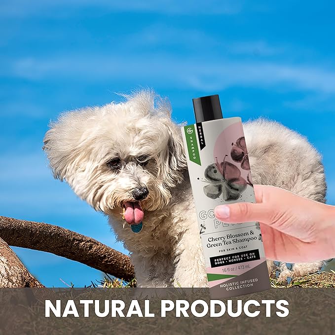 Holistic Natural Derived Cherry Blossom & Green Tea Pet Shampoo: Veterinarian Recommended